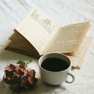 Livros e Estudos Esotéricos — Canal de Telegram
