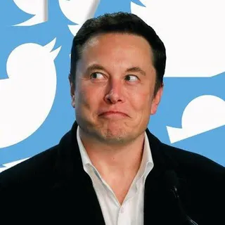 Memes Ruins para Alegrar seu Dia 😁 — Canal de Telegram