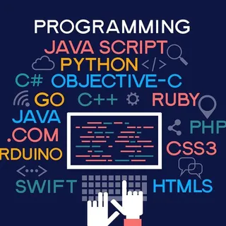 Programadores Brasil