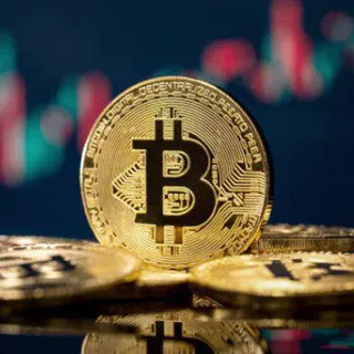 Bitstarter 2026 — Grupo de Telegram