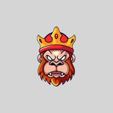 Sinais Crypto Opção Binária — Canal de Telegram