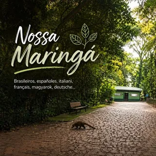 Nossa Maringá — grupo no Telegram