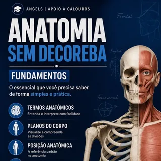 Descomplica Anatomia — grupo no Telegram