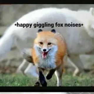 Furry gifs. — Canal de Telegram